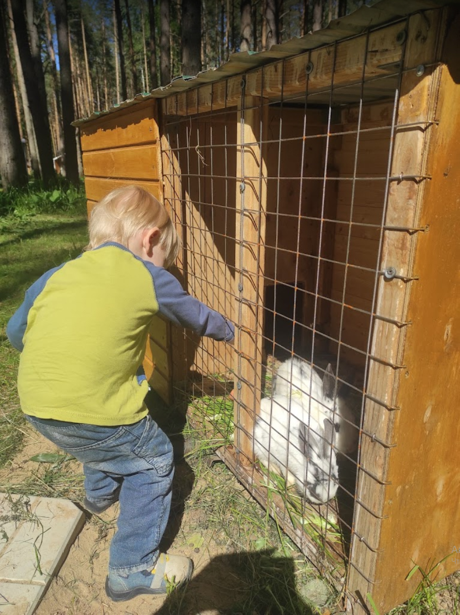 Фото Sherwood Park Hotel