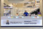 Pedant.ru (Yamasheva Avenue, 97), phone repair