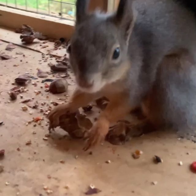 Фото Sherwood Park Hotel