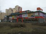 Regul (Pulkovskaya Street, 11к1), concesión de licencias