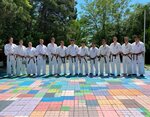 Kyokushinkai karate Branch Lee (ulitsa Vorovskogo, 1), sports club