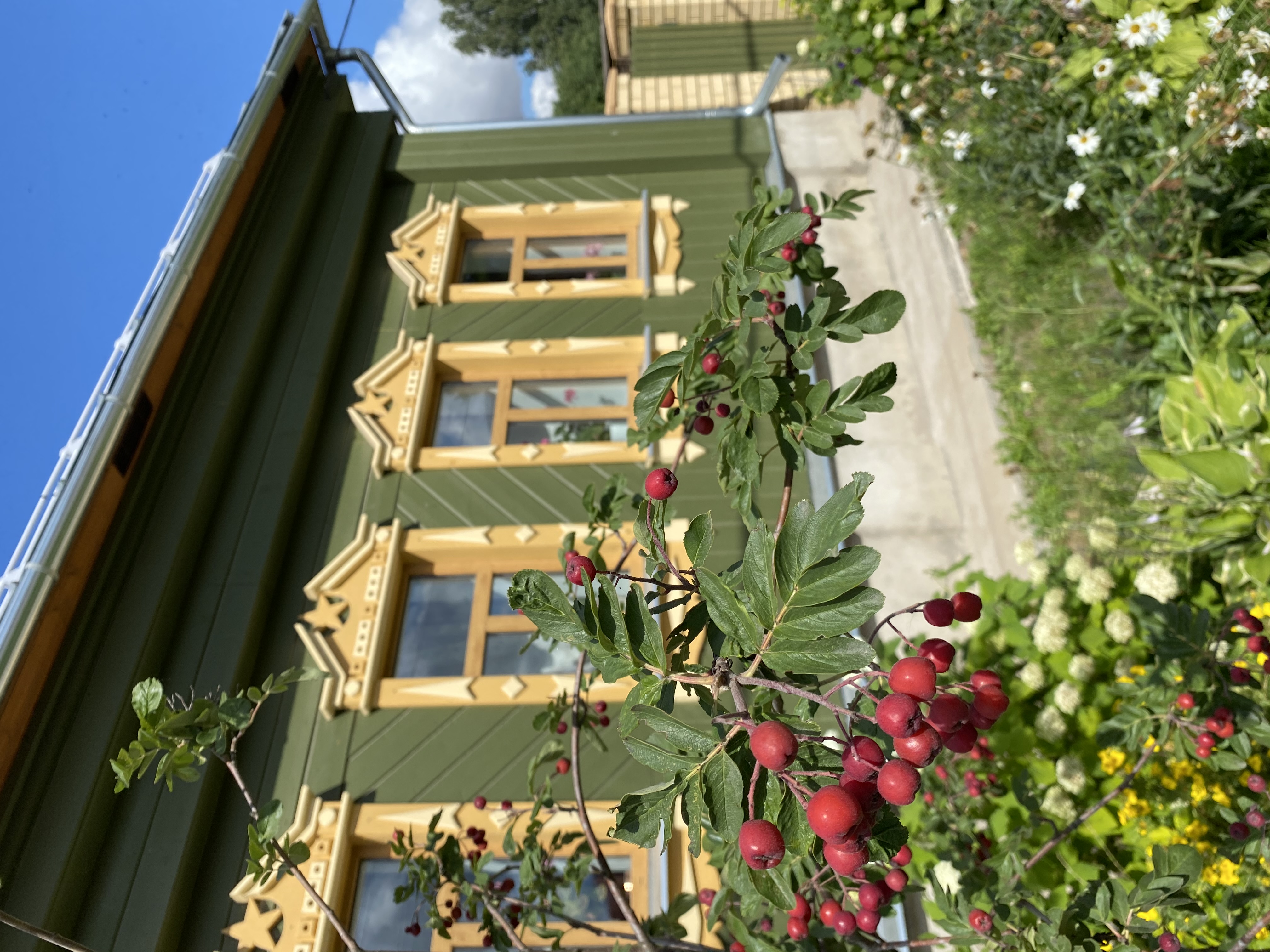 Фото Yellow Stars Inn