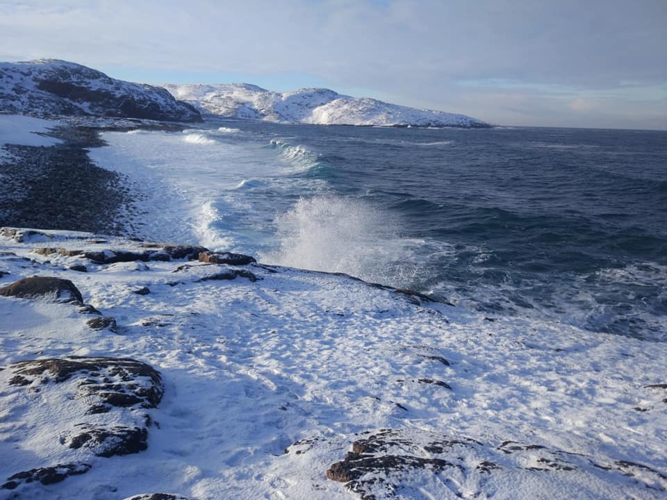 Фото Aurora Барнхаус