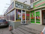Капкан (ulitsa Kalinina, 13А), cervecería