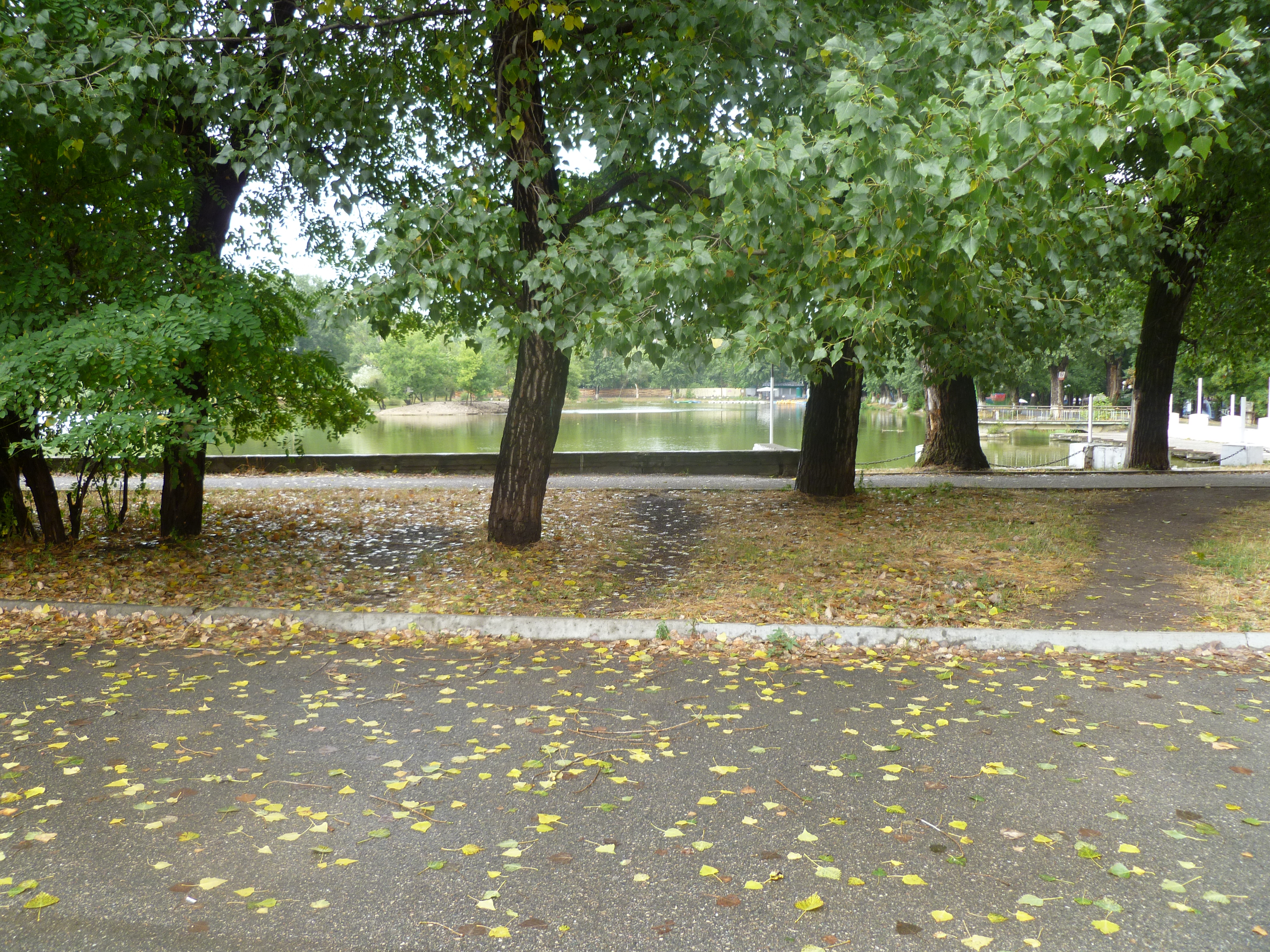 Фото Апартаменты