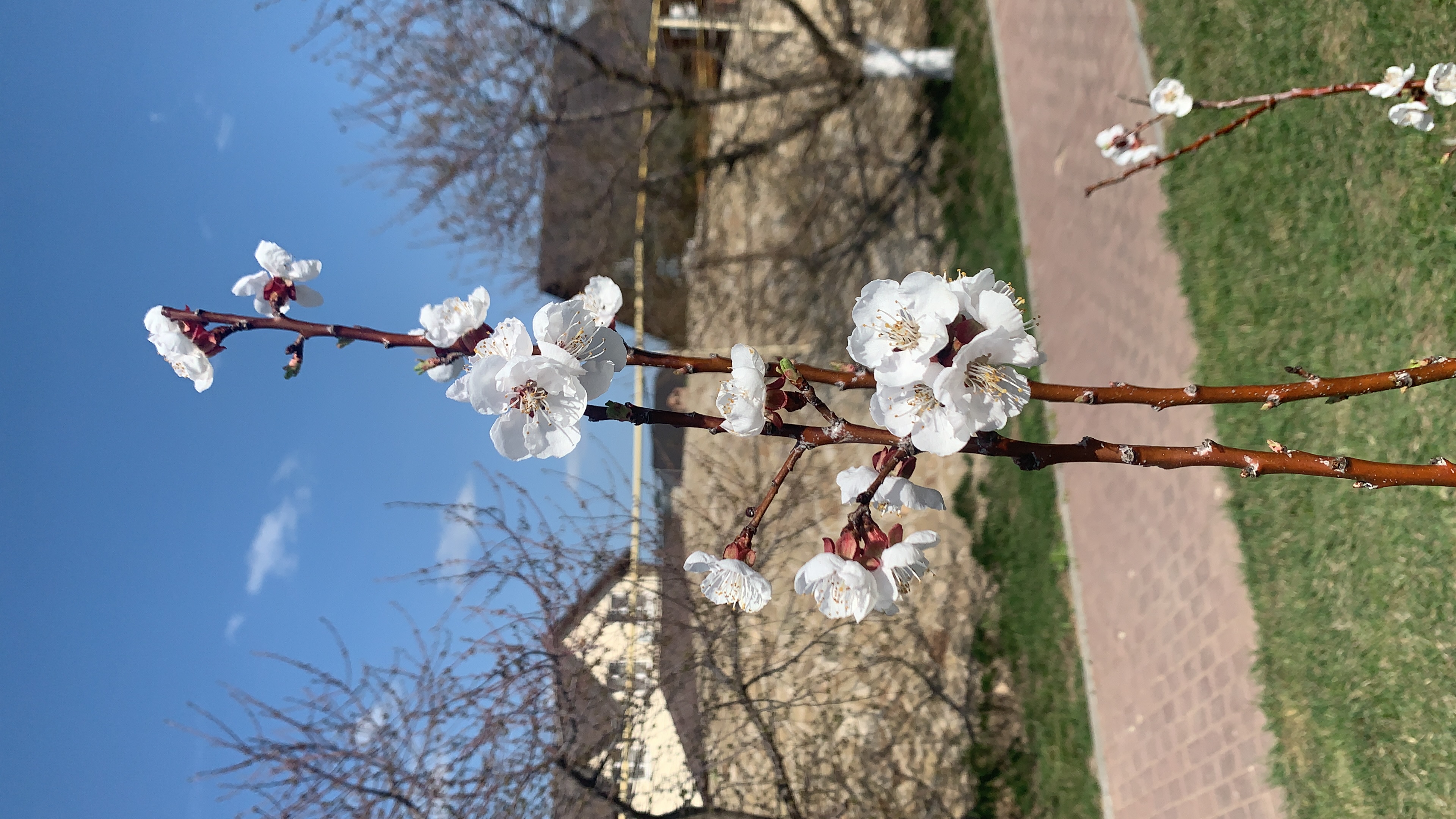 Фото Усадьба Никольское