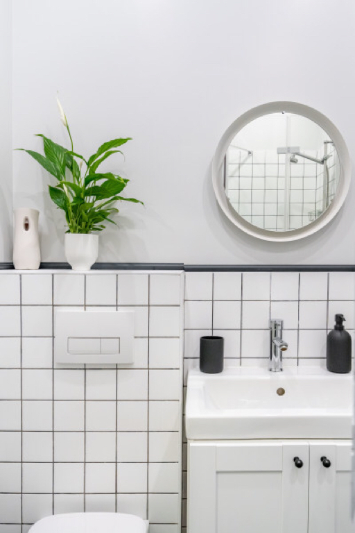 Фото Абрикосовое дерево Елагин