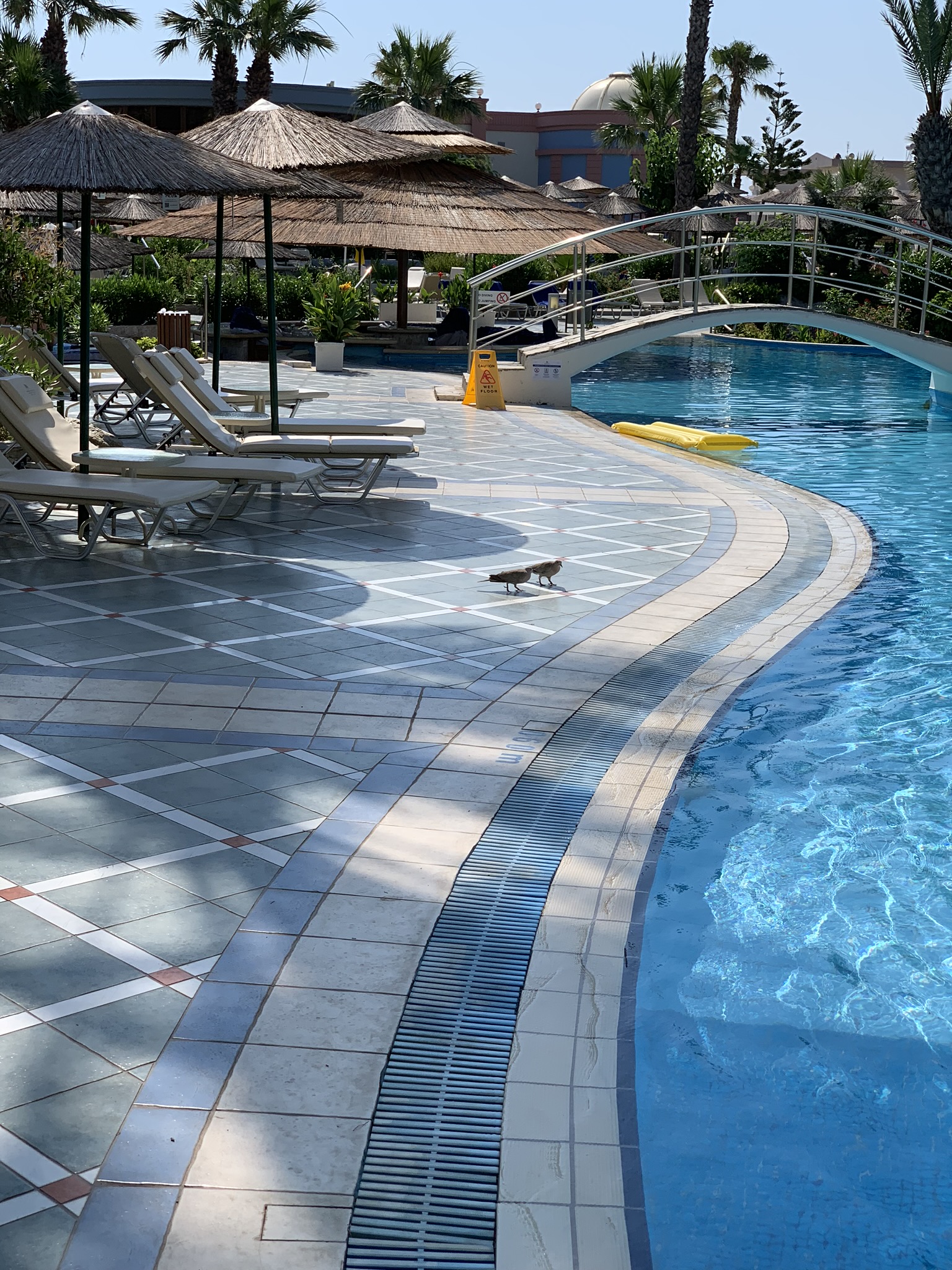 Фото Atrium Palace Thalasso SPA Resort & Villas