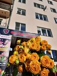 Fan-Fan Tulip (ulitsa Bogdana Khmelnitskogo, 3) ، محل زهور