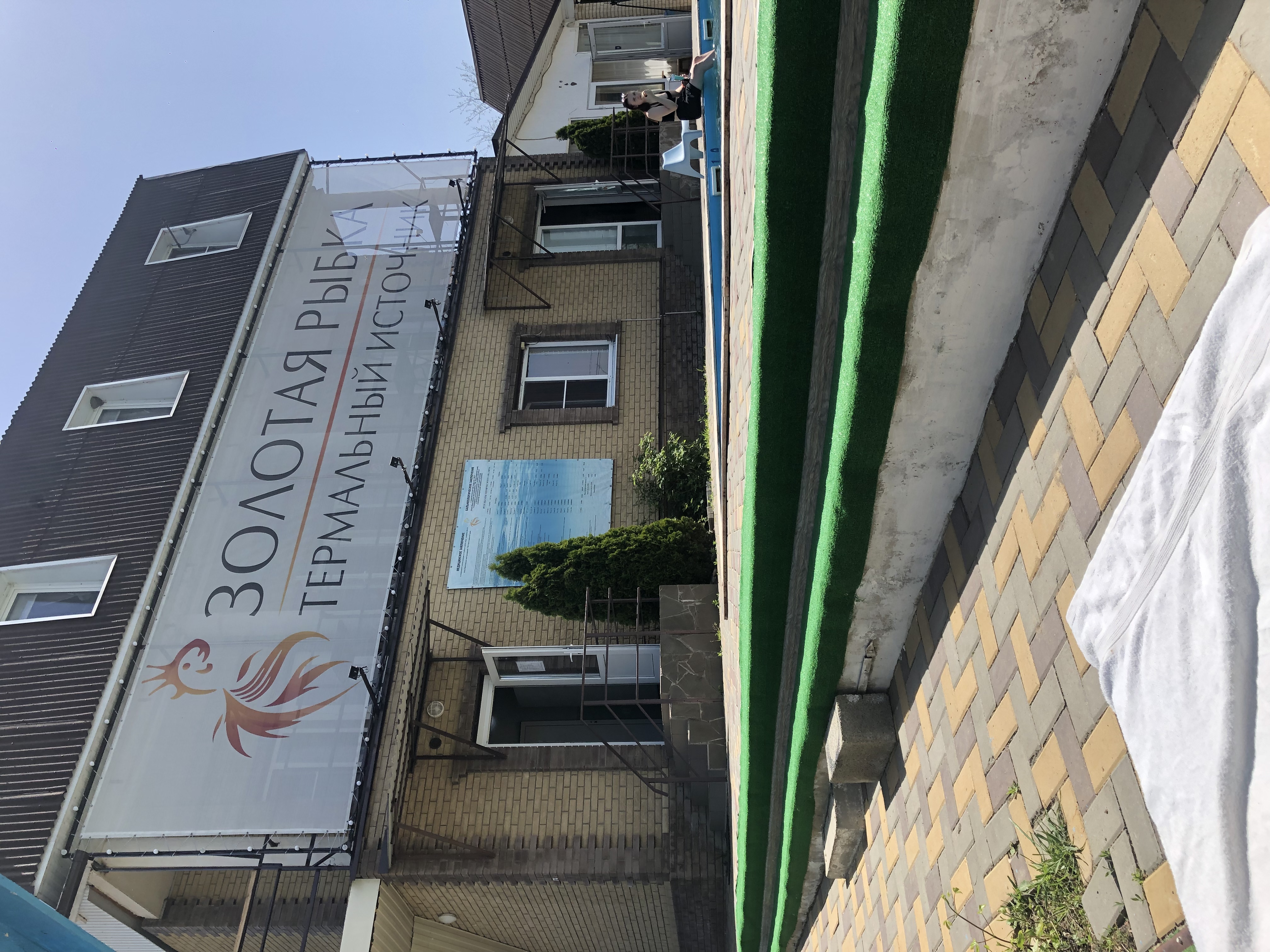 Фото Золотая рыбка