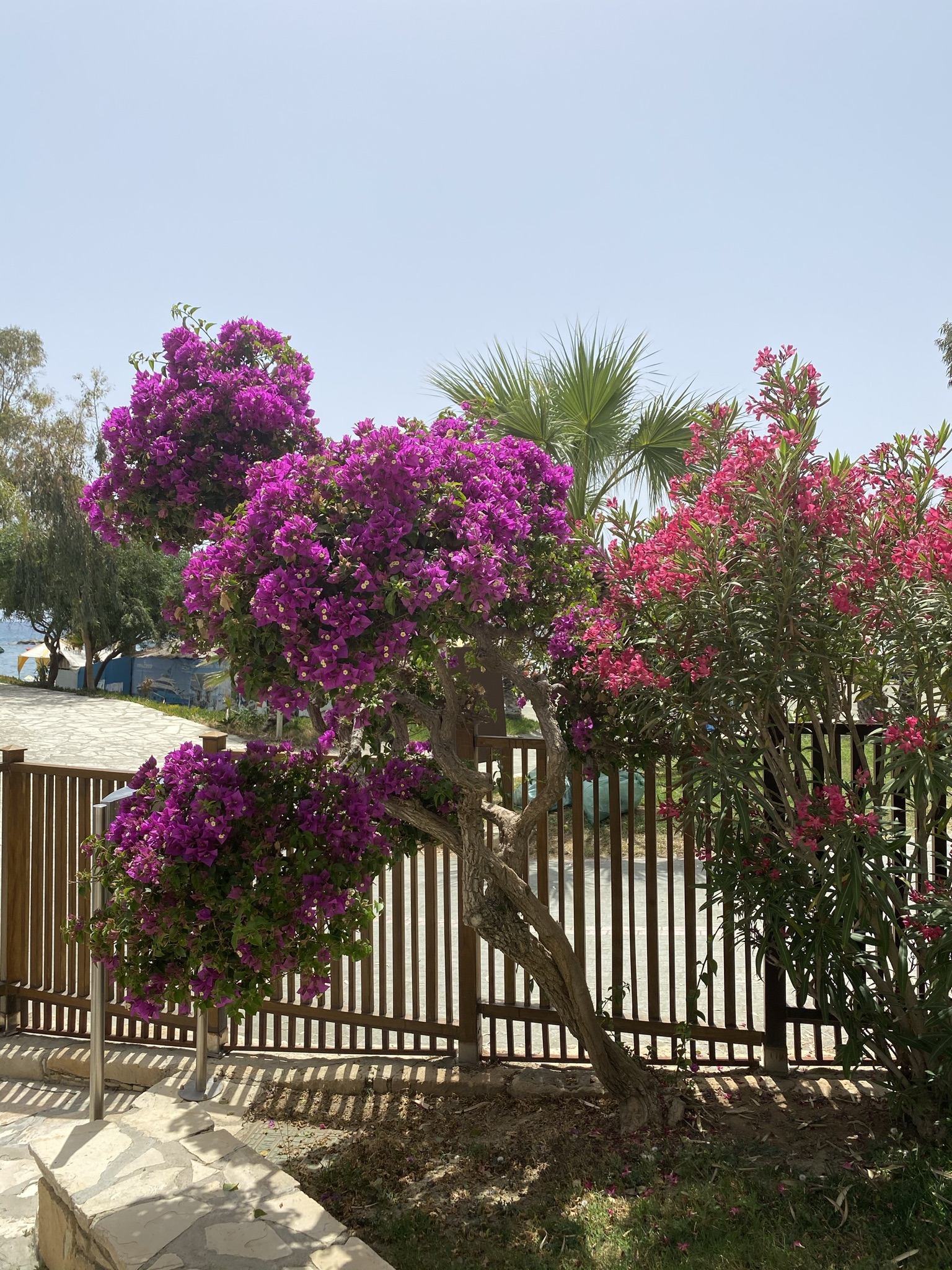 Фото Four Seasons Hotel