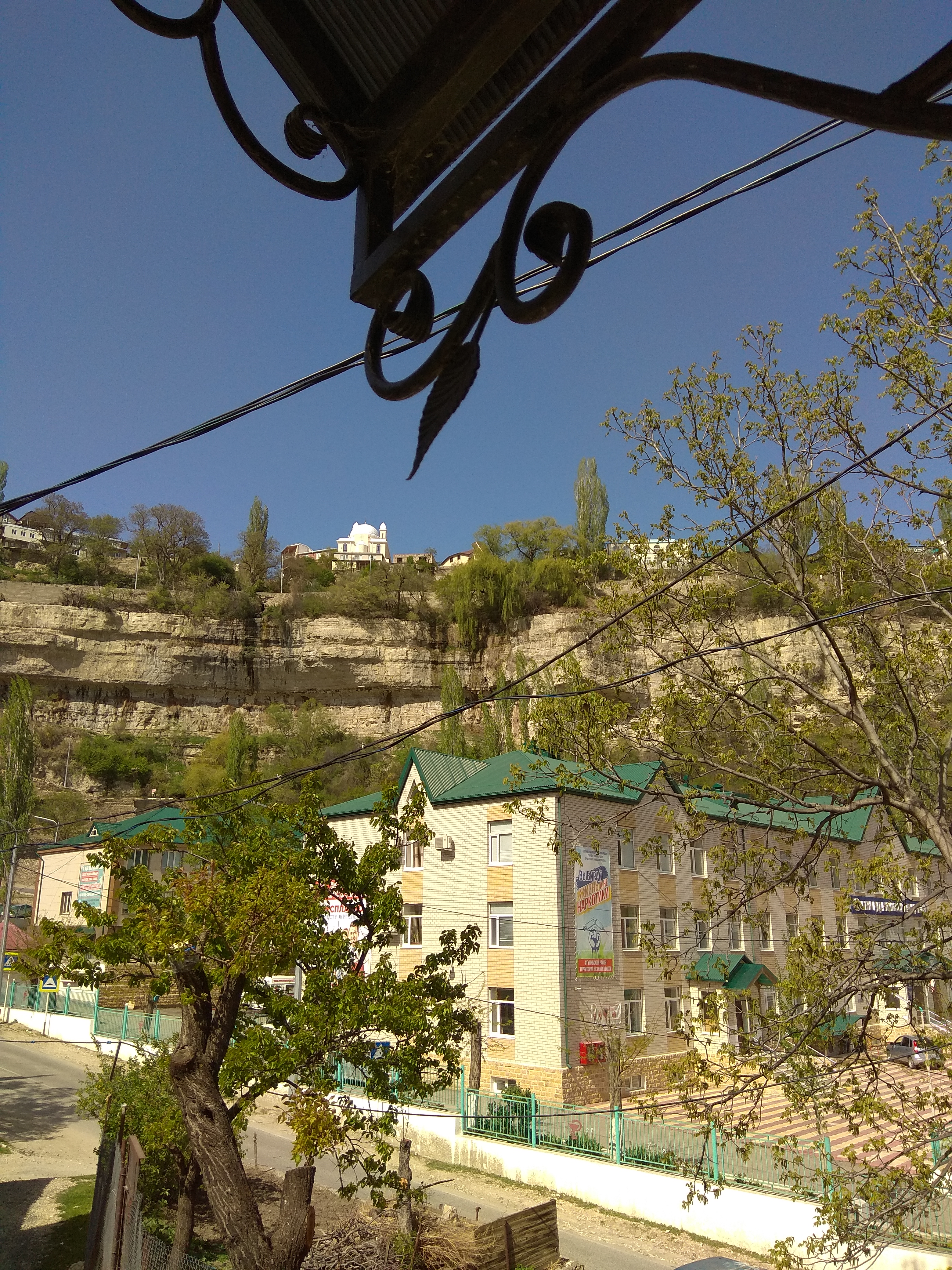 Фото Пение птиц