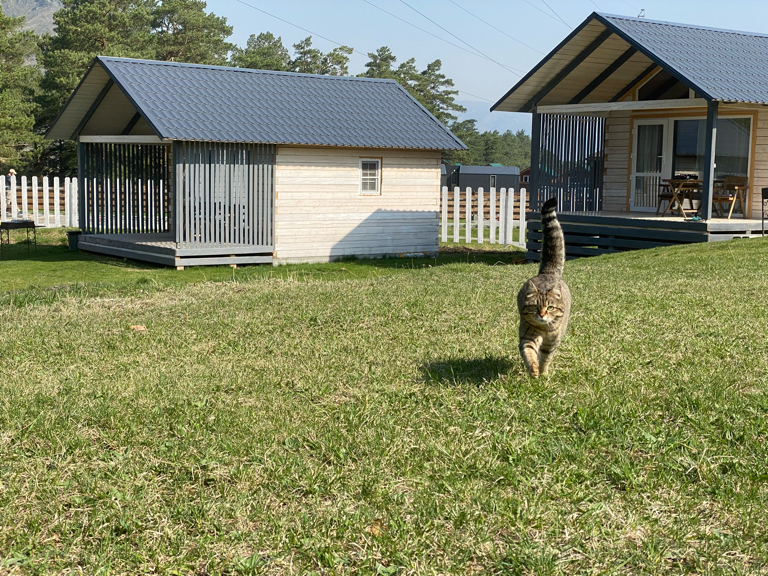 Фото Шале АйОк