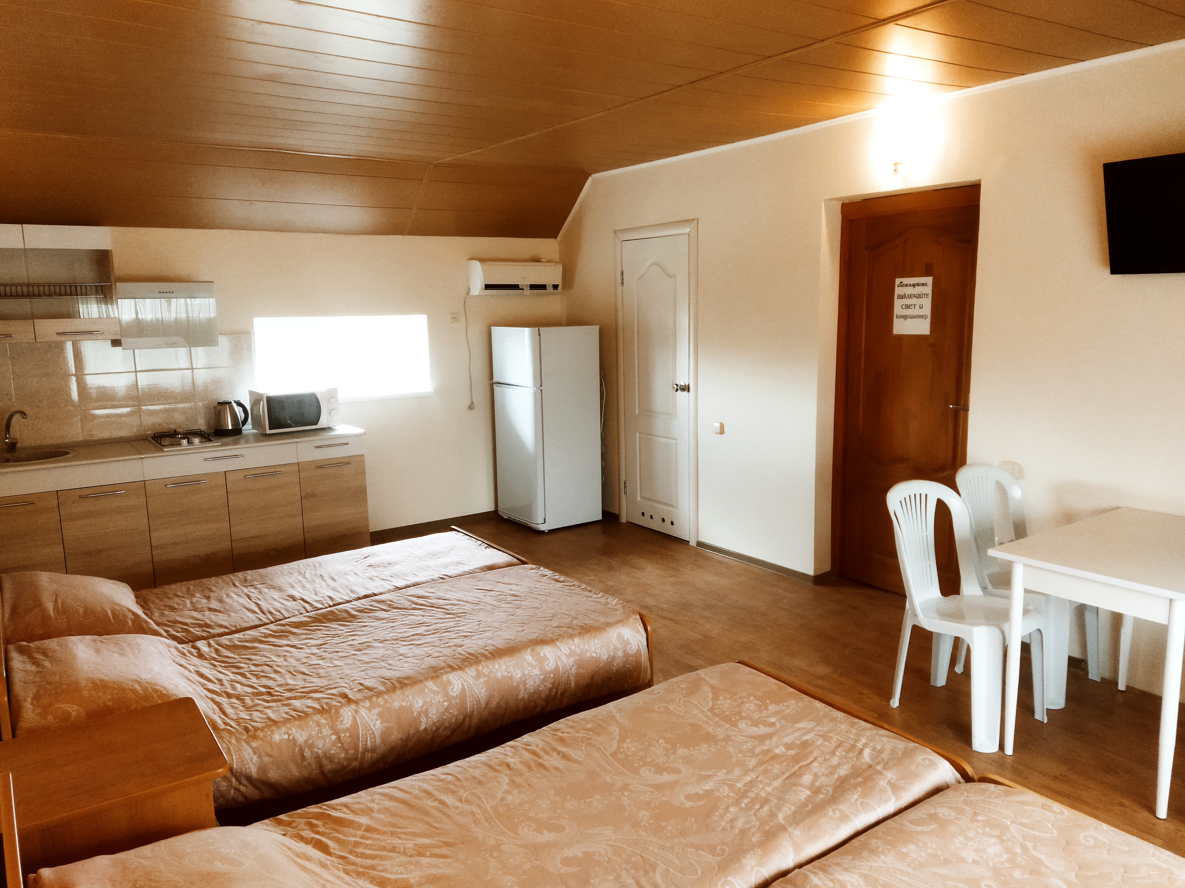 Фото Ромашка