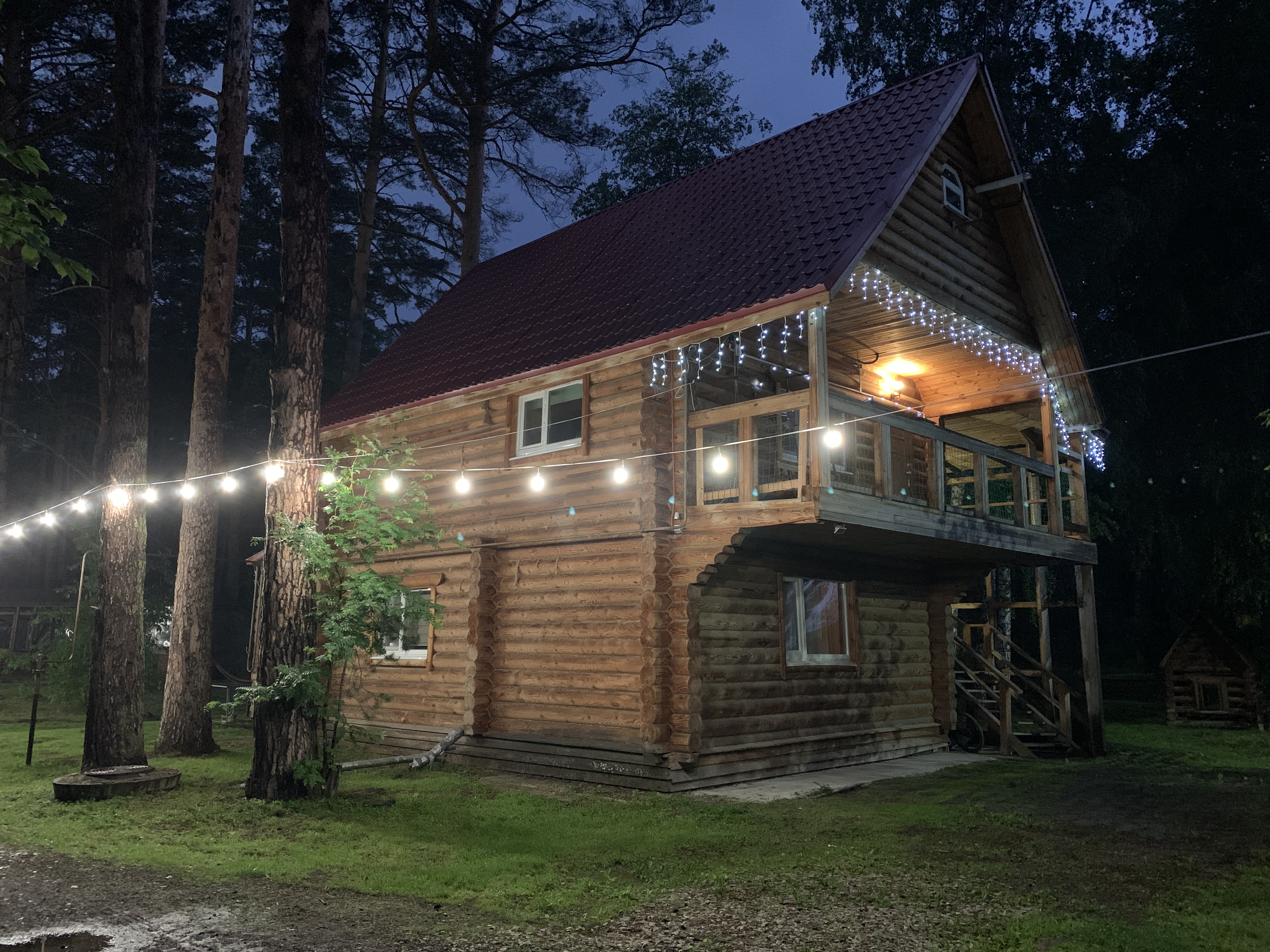 Фото Дача в соснах