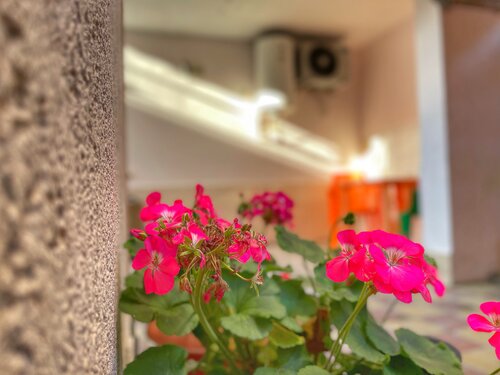 Иное жильё Семейный пансион в Геленджике