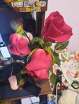 Цветочная фантазия (Krasny pereulok, 13), flower shop