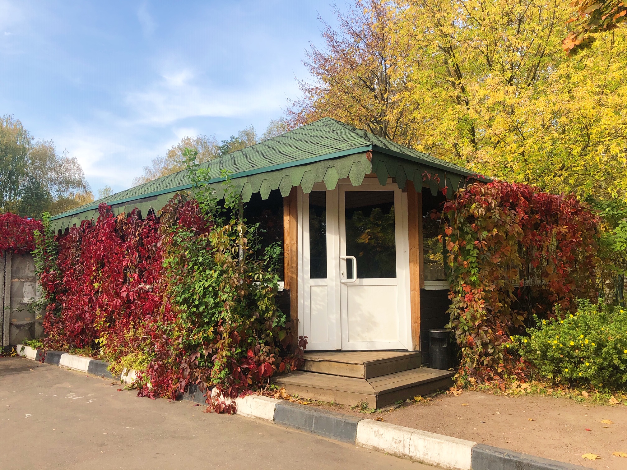 Фото Адонис