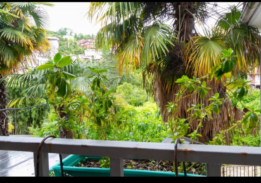 Фото Удачный