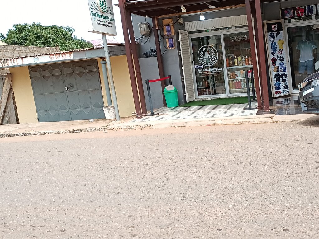 Business center Kizz Mona Beauty Line, Earth, photo