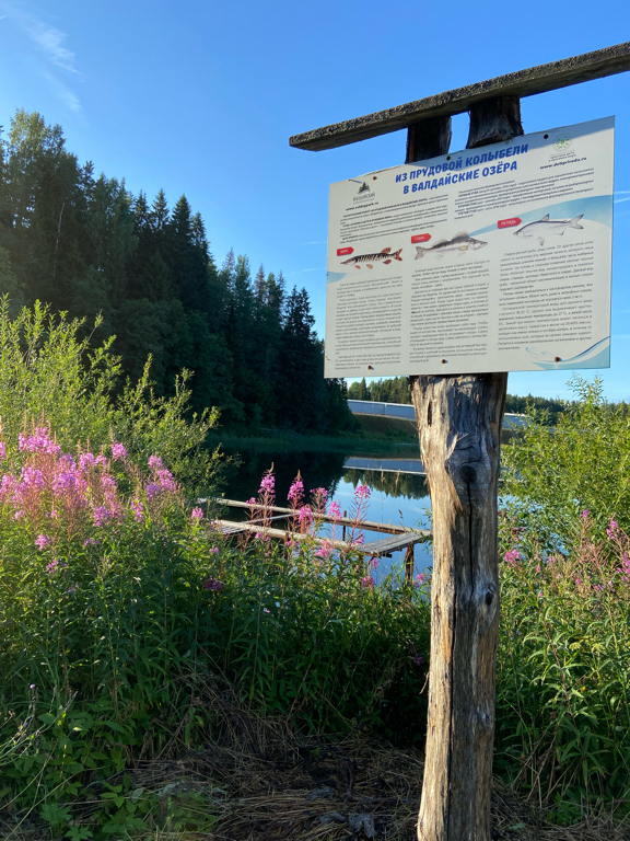 Фото Усадьба Коноваловых