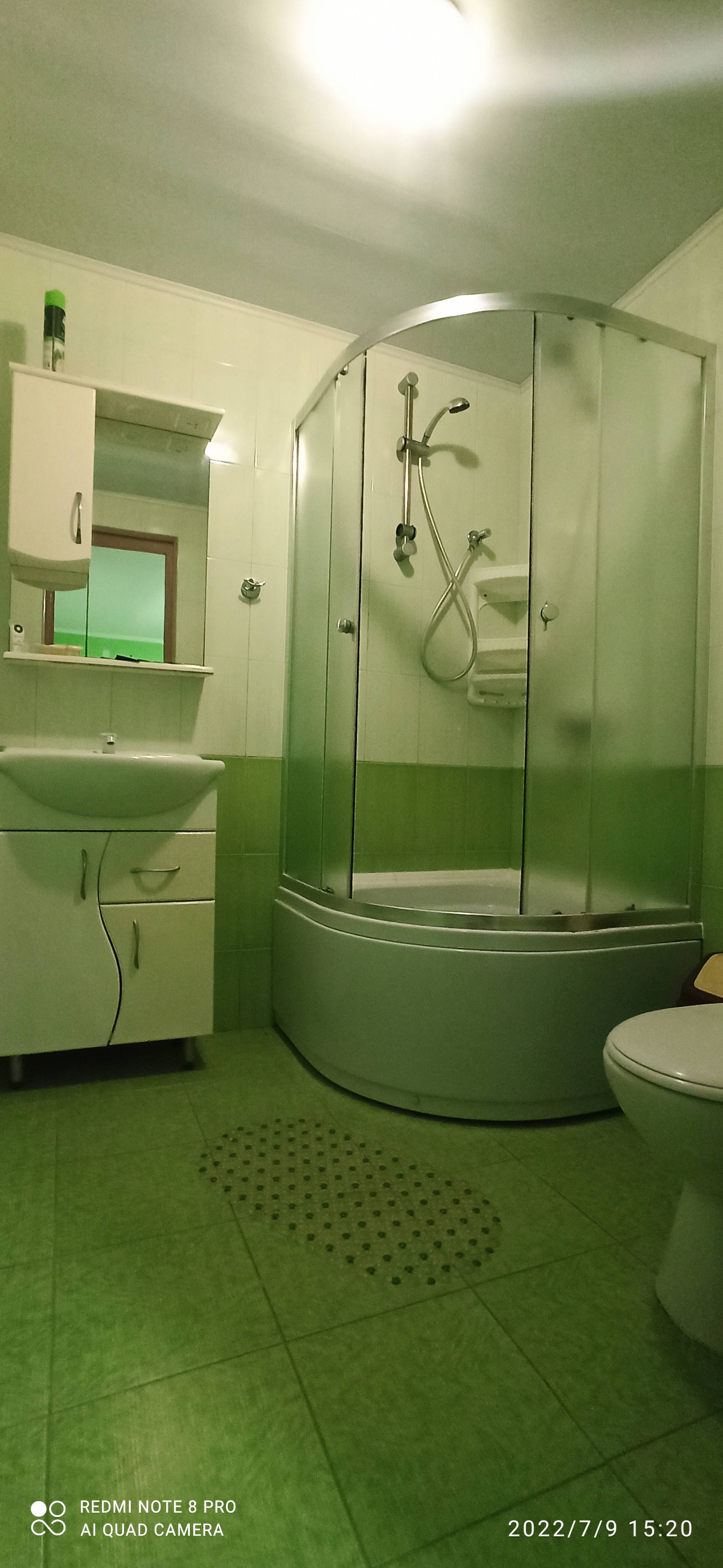 Фото Цветок папоротника