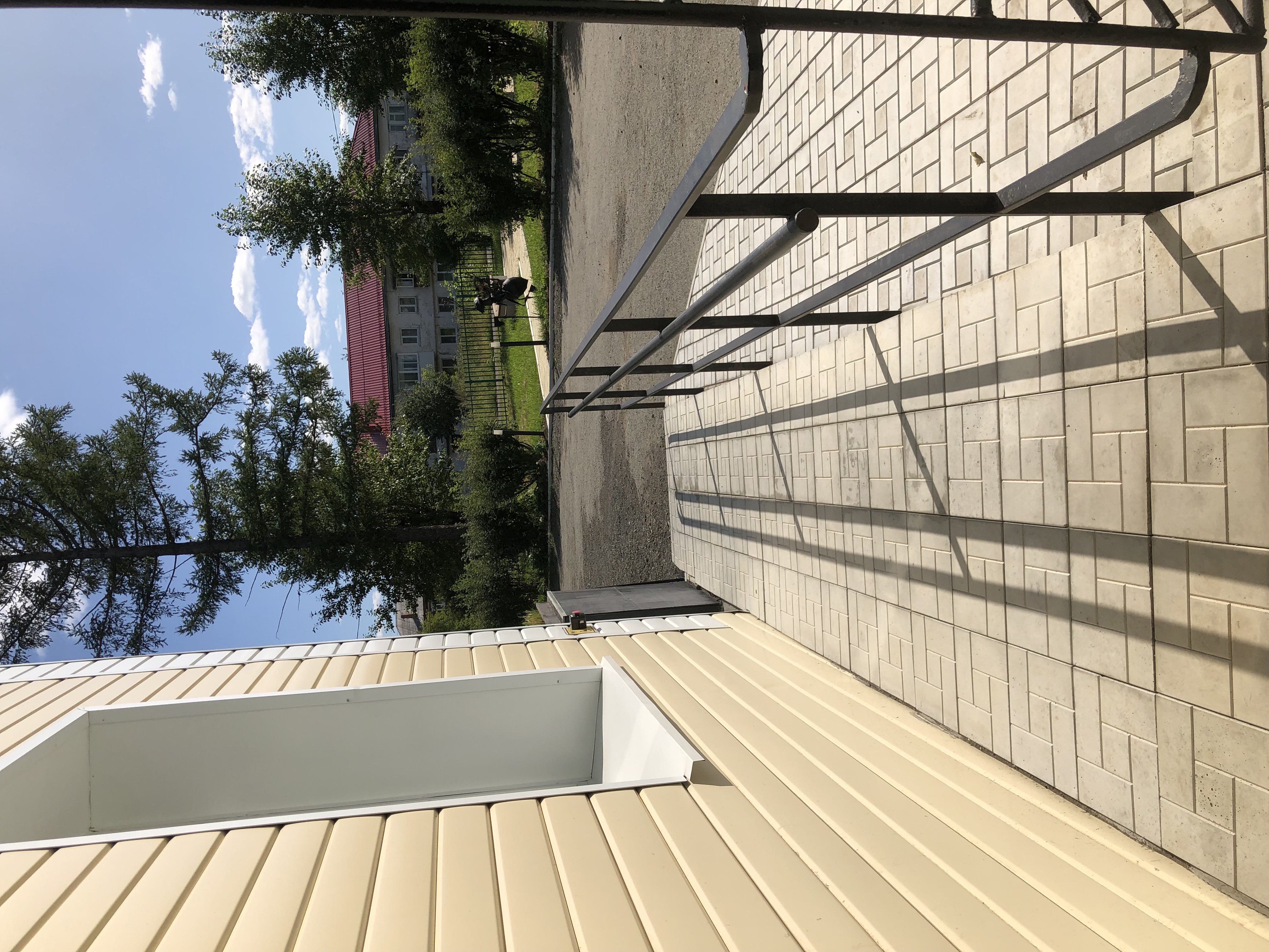 Фото Forest Hotel