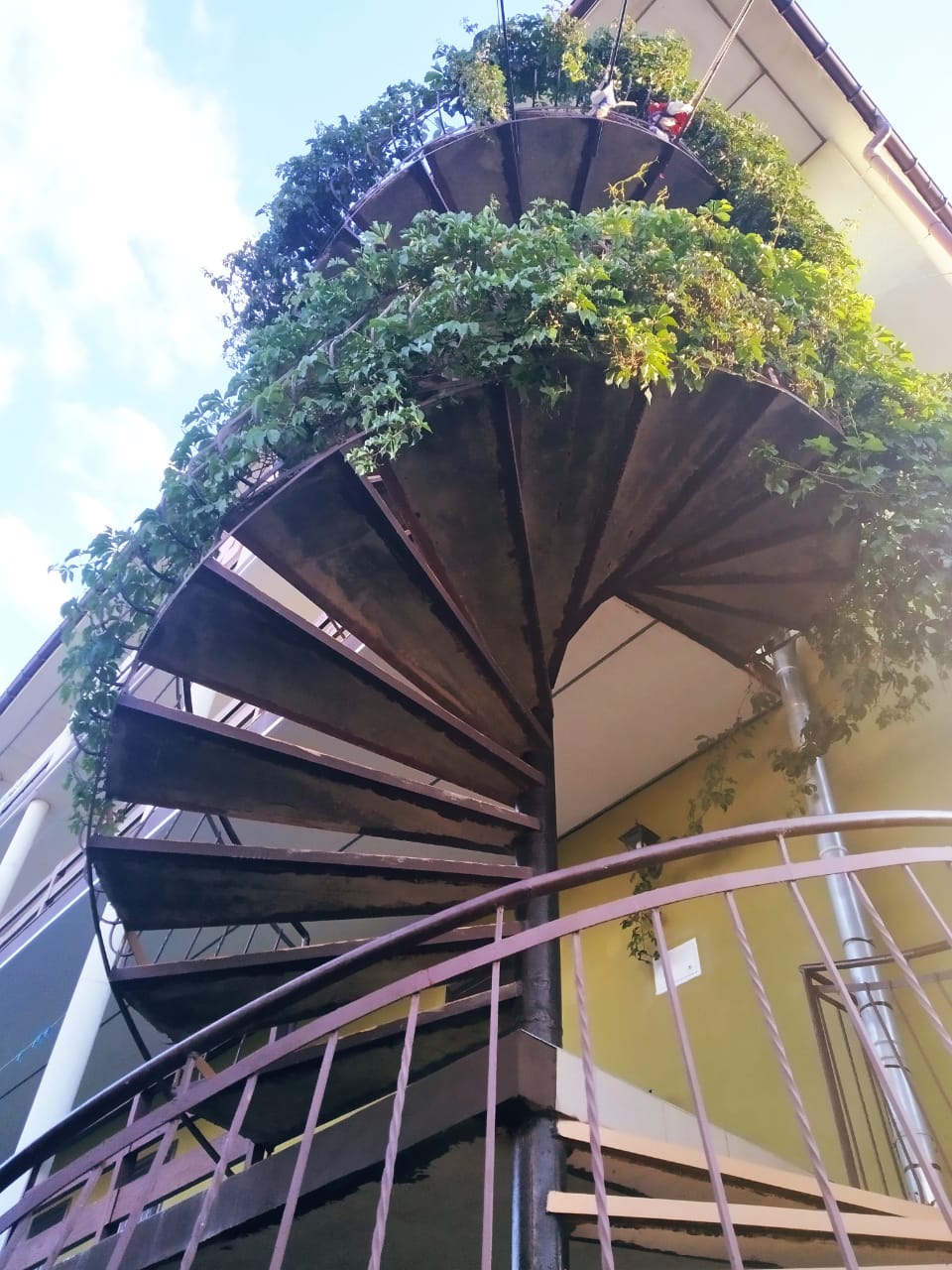 Фото Вилла Ямайка