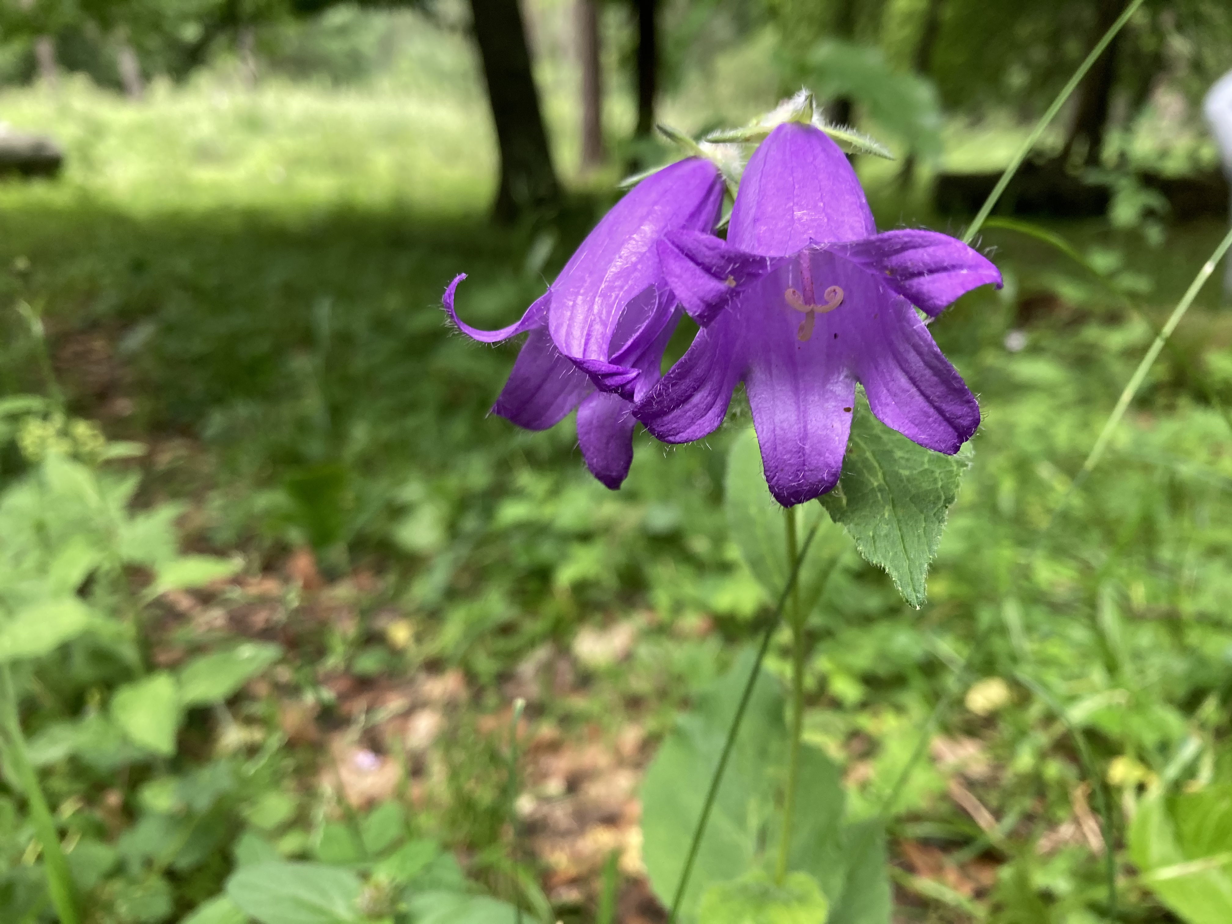 Фото Счастливые люди