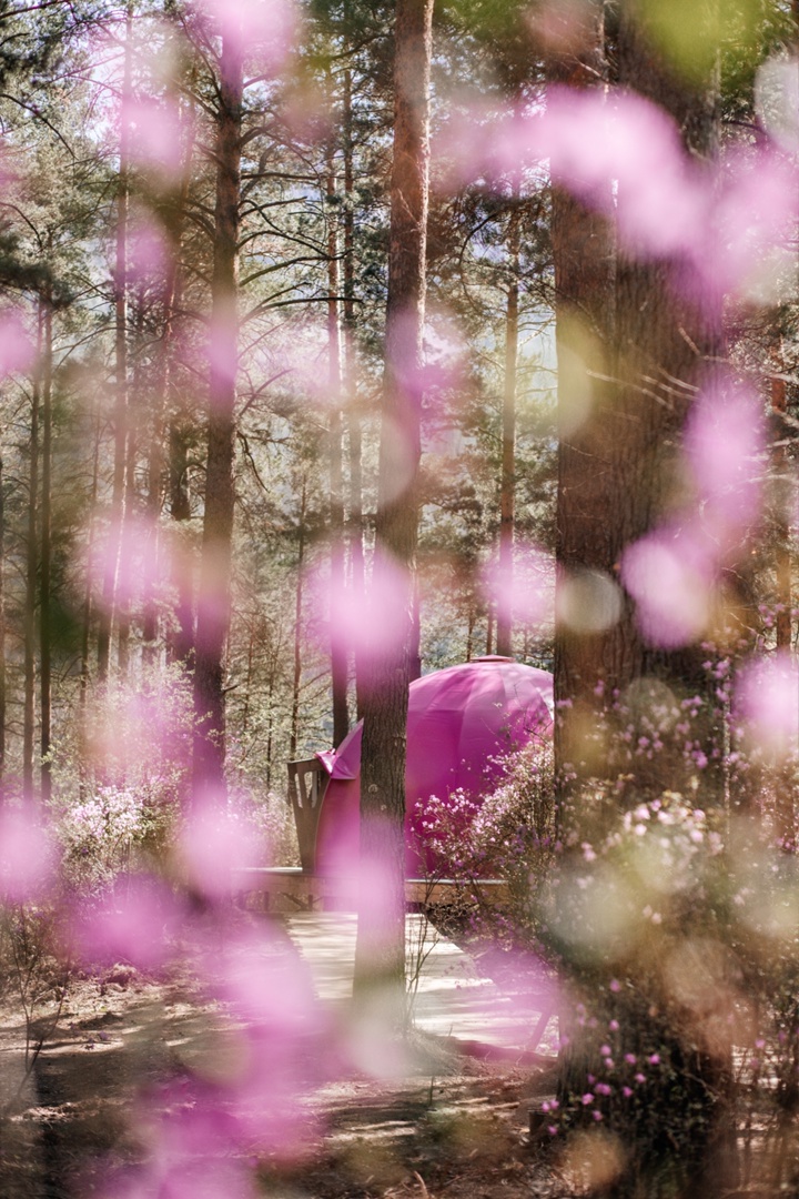 Фото Лесная Лагуна