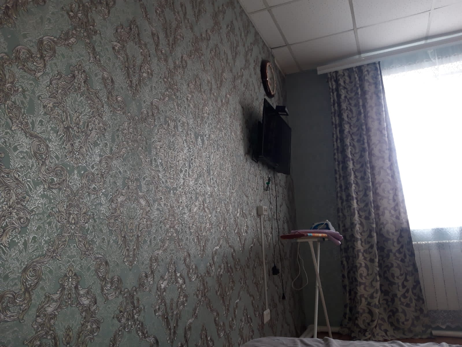 Фото Метелица