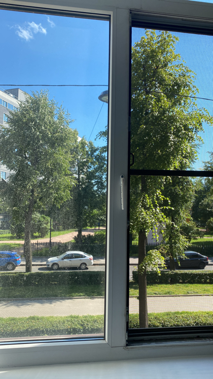 Фото Северный ветер