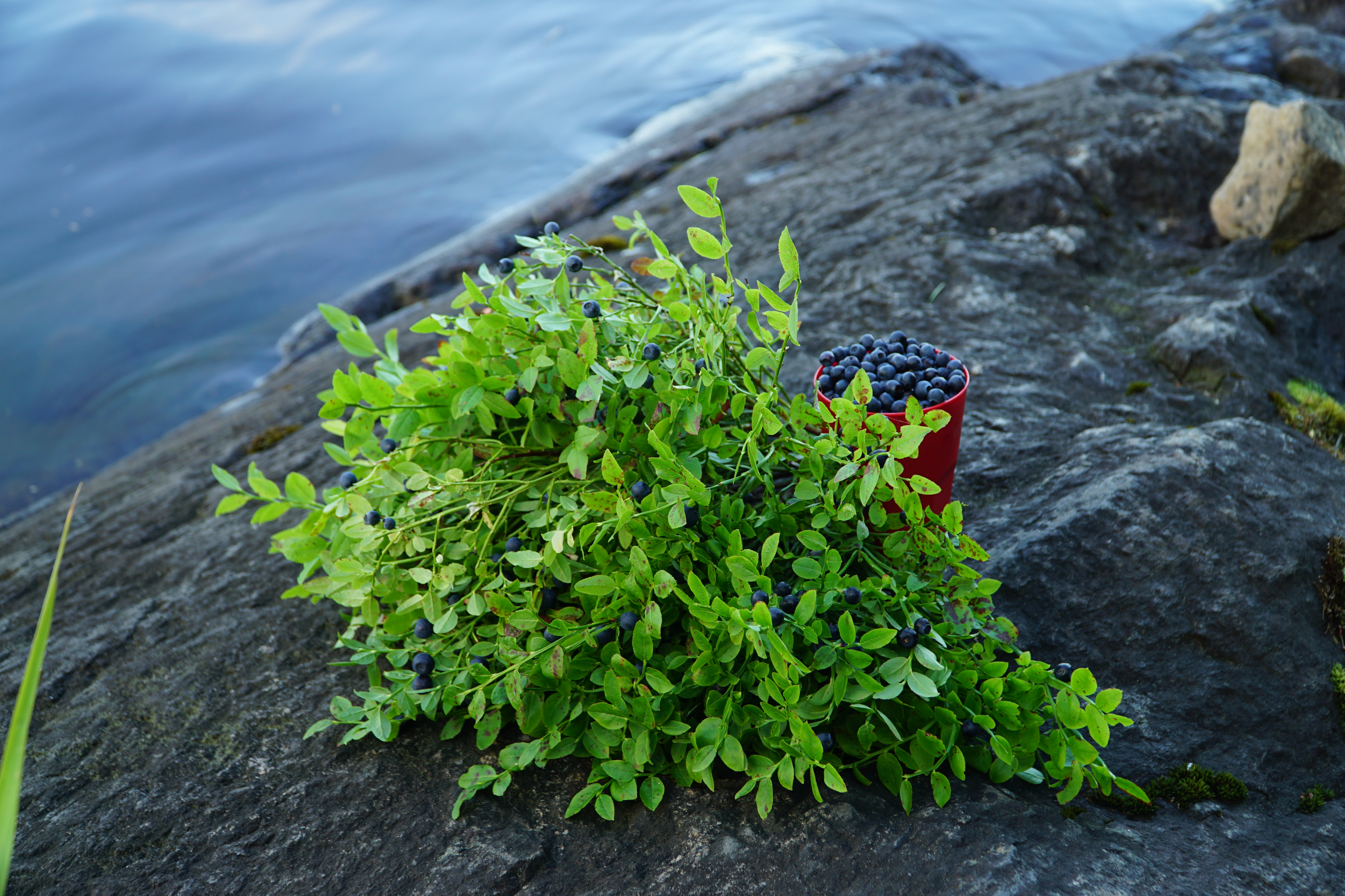 Фото Кильполансаари