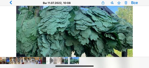 Апартаменты Брусника № 1 в Кемеровской области (Кузбассе)