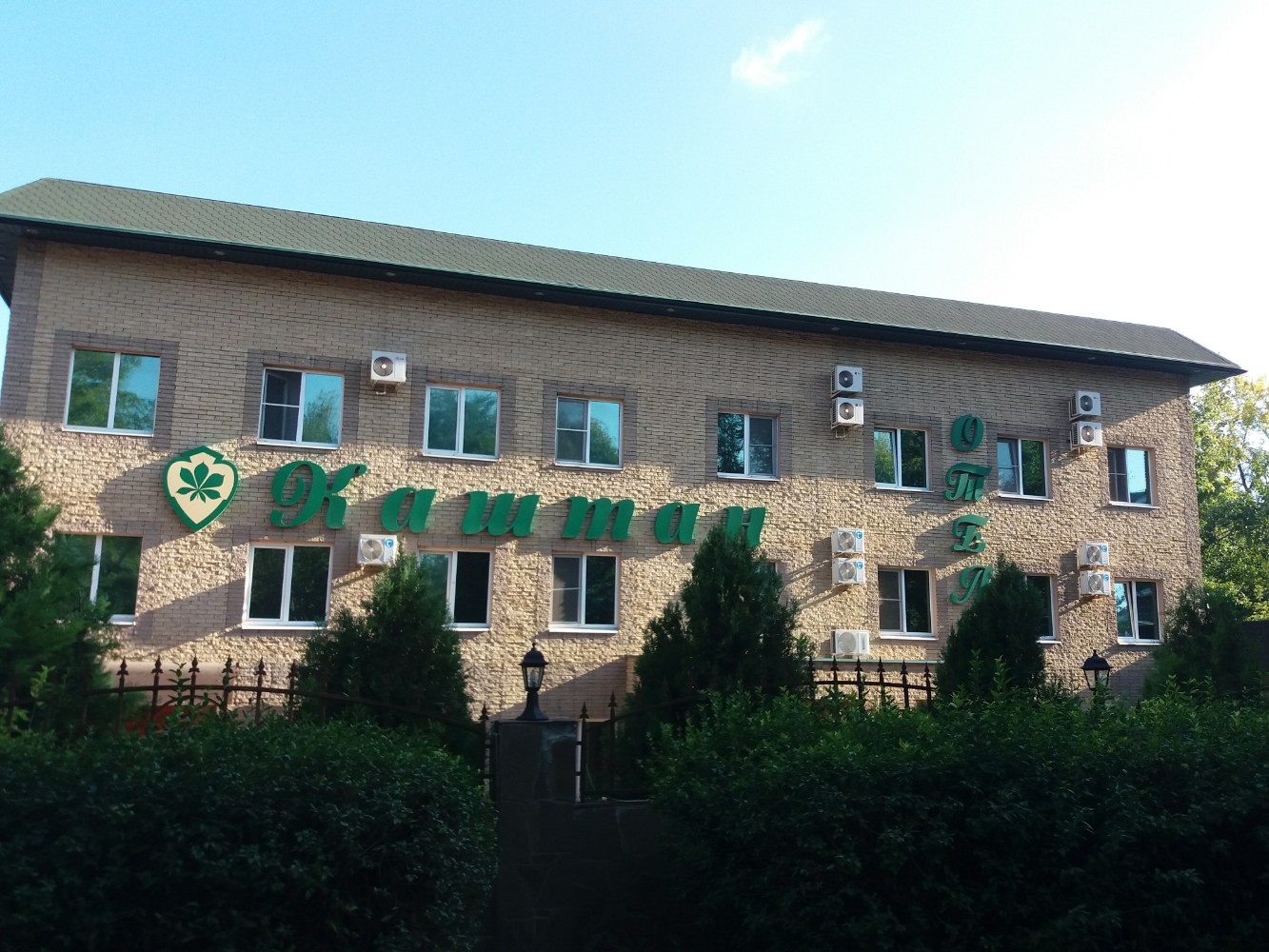 Фото Каштан