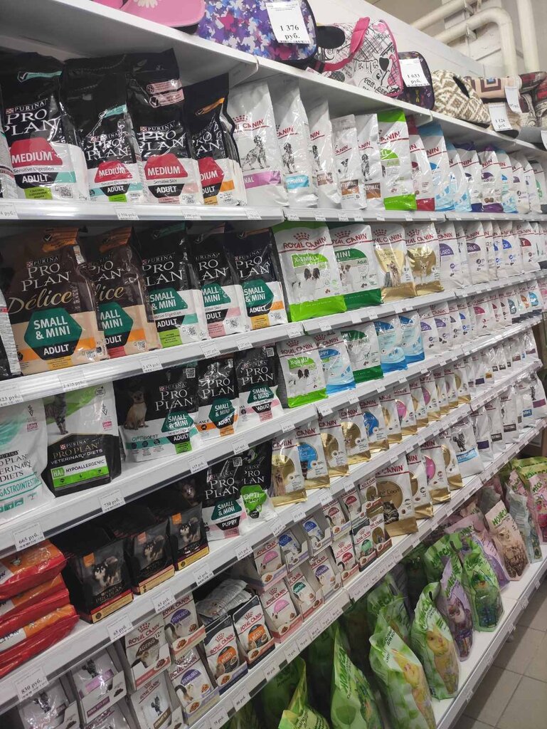 Pet shop Гарфилд, Shuya, photo