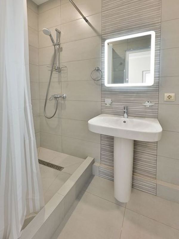 Фото Альбатрос