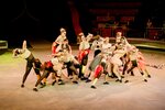 Frappe (ulitsa Marshala Koneva, 15), circus