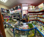 Kotopes (mikrorayon Yuzhny gorodok, 7), pet shop