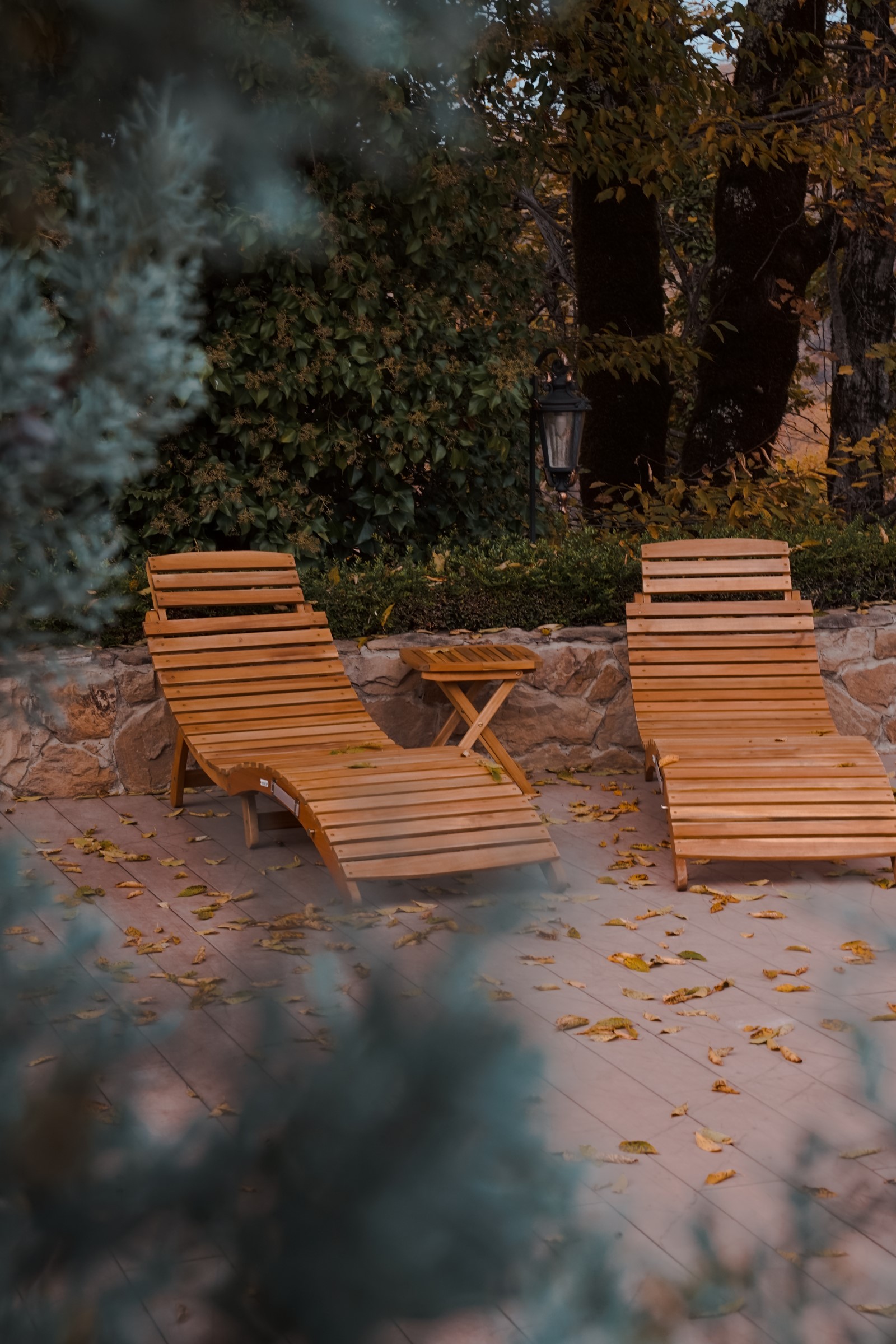 Фото Spatium Wellness Center