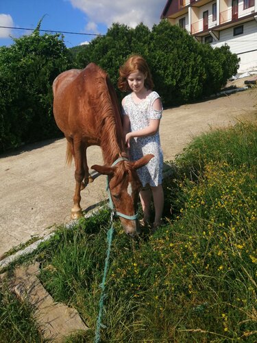 Гостиница Golden Horse в Тенгинке