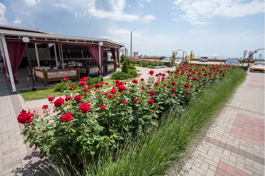 Фото Ай-Петри