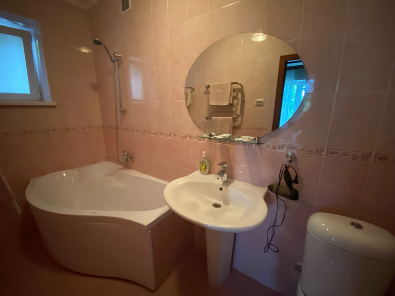 Фото Рыжий пёс