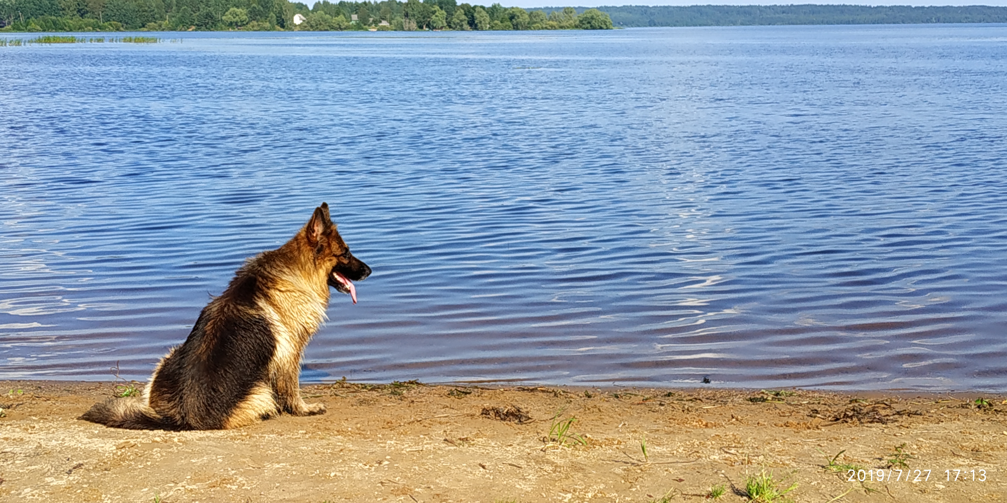 Фото Вселуг