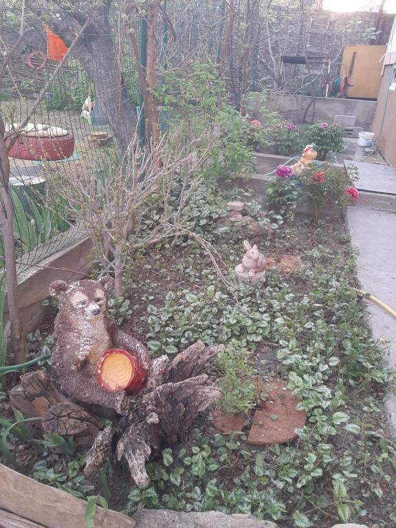 Фото Морской