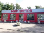 Mir Tsvetov (Lenina Avenue, 17А) ، محل زهور
