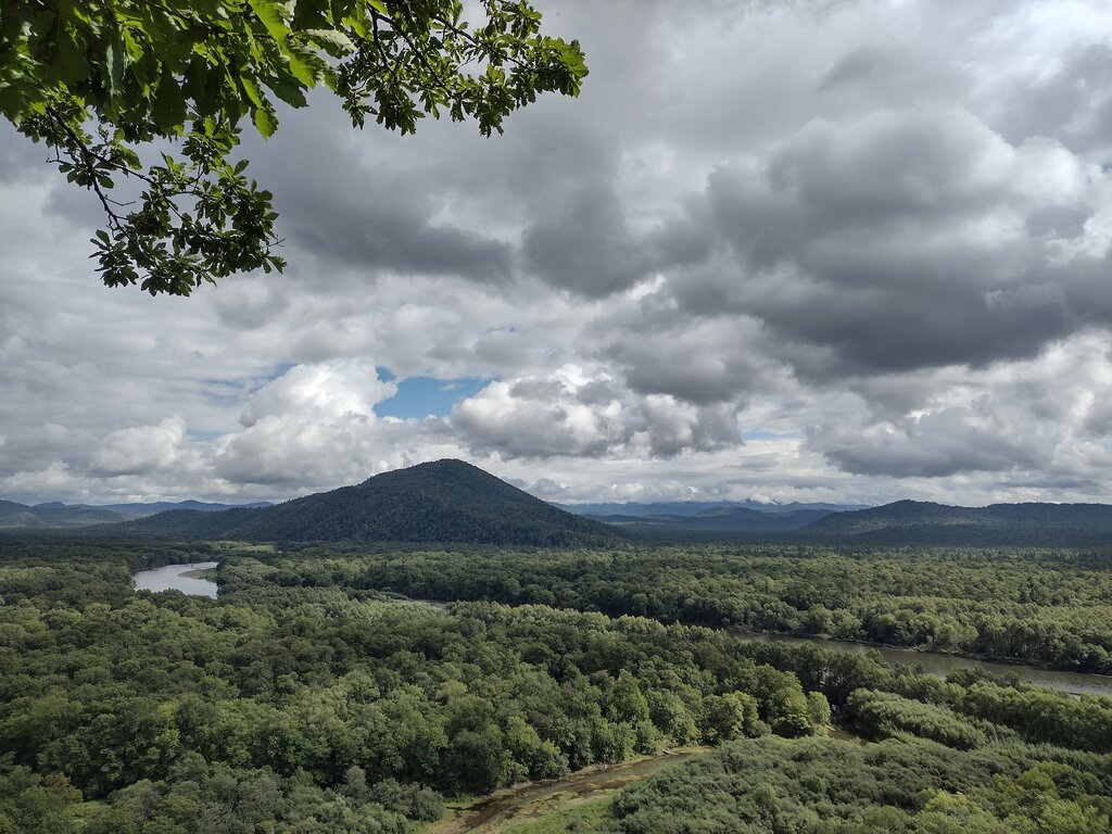 Forestry Федеральное государственное бюджетное учреждение Национальный парк Бикин, Primorsky Krai, photo