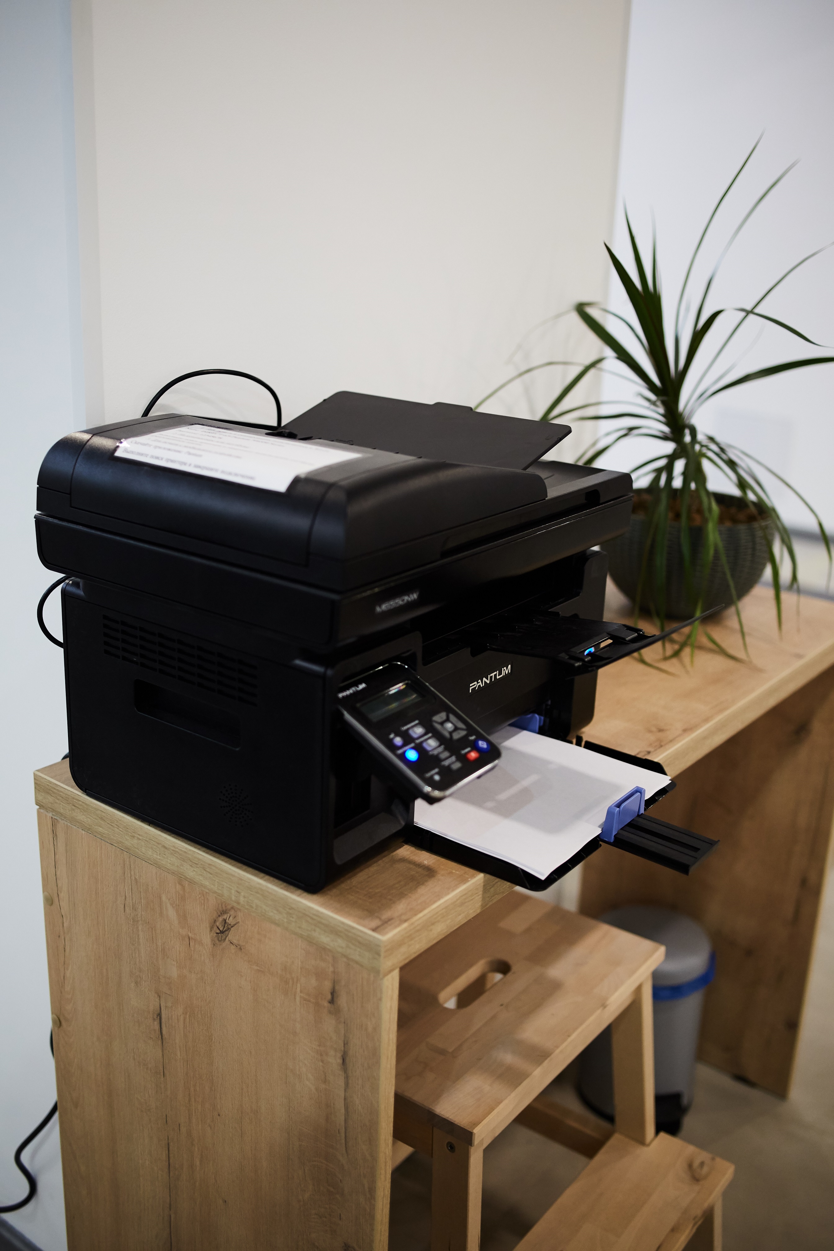 Фото Точка Запятая