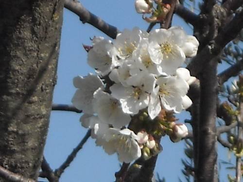 Фото Agriturismo L'Imposto