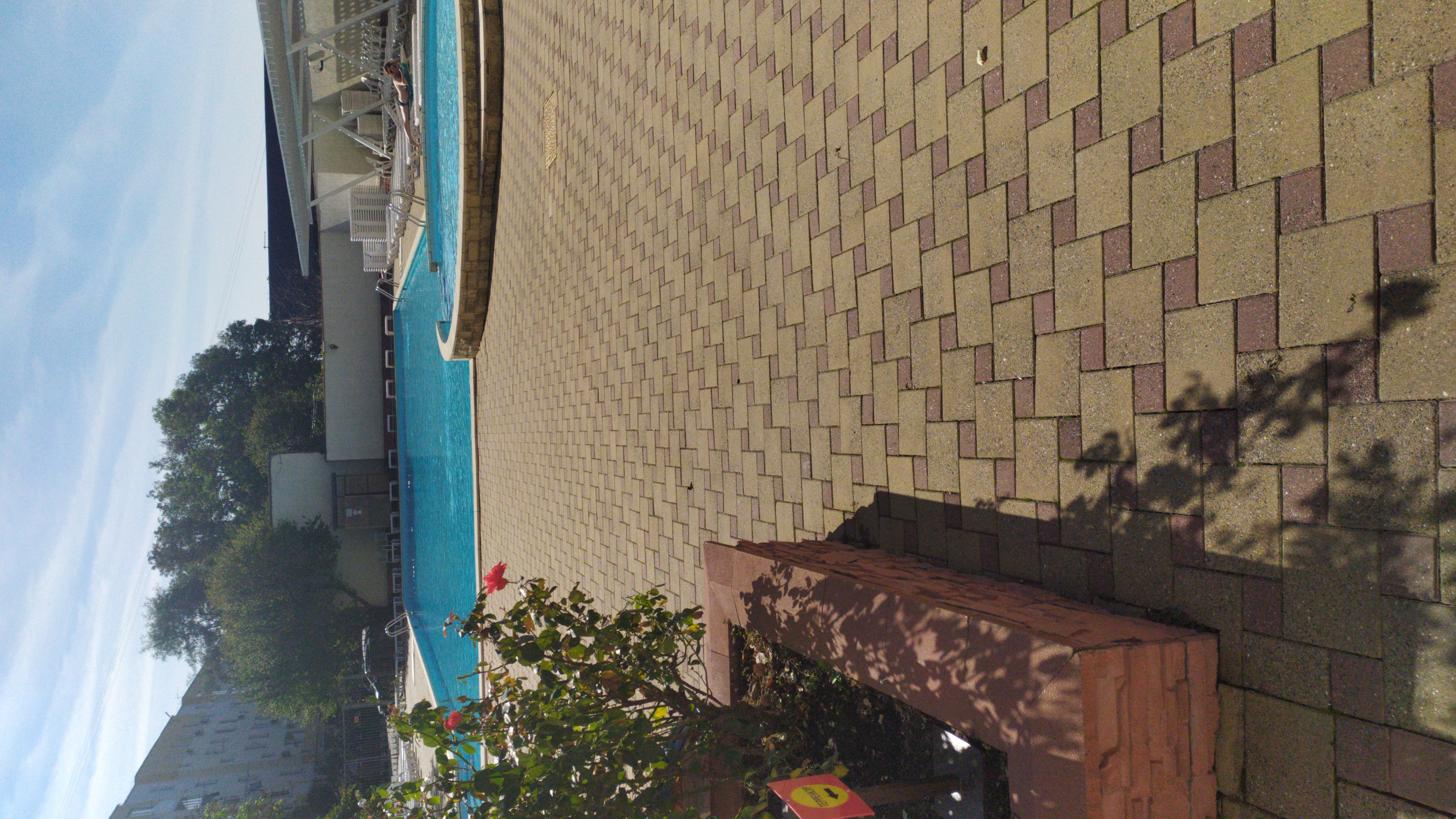 Фото Фламинго